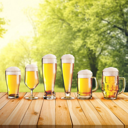 BICCHIERI PILSNER X2