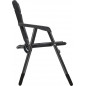 Aravel Vanchair black