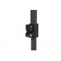 Linear Black 100
