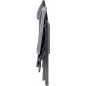 Aravel Swan 3D black