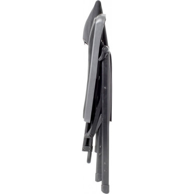 Aravel Swan 3D black