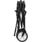 CARRELLO Cargo Linx