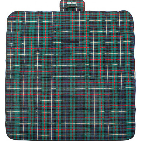 Picnic Plaid