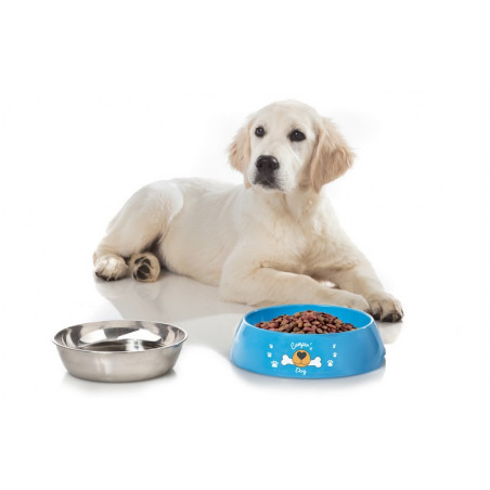 Ciotola per cani Hungry