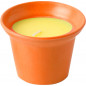 CANDELA ALLA CITRONELLA M