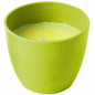 CANDELA ALLA CITRONELLA S 0202055