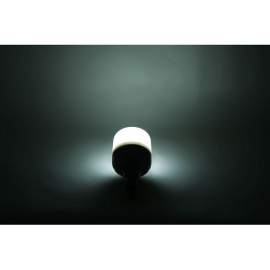 LAMPADA GLOBE LED