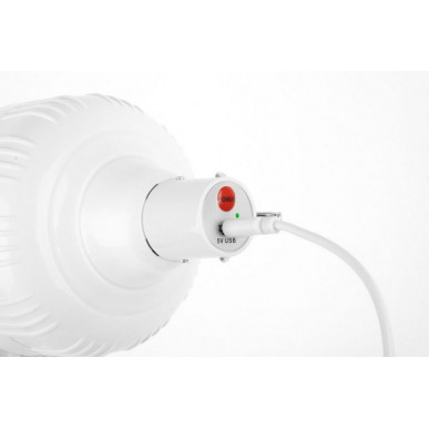 LAMPADA GLOBE LED