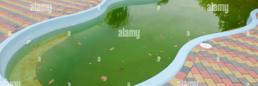 Cosa Fare se l’Acqua della Piscina Diventa Verde: Soluzioni e Consigli
