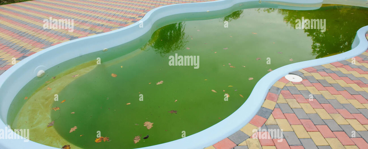 Cosa Fare se l’Acqua della Piscina Diventa Verde: Soluzioni e Consigli