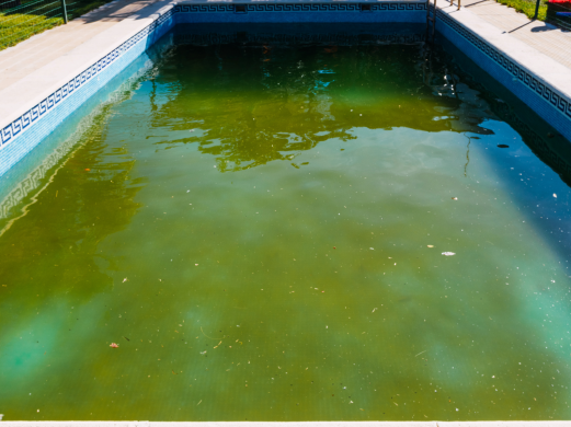 Cosa Fare se l’Acqua della Piscina Diventa Verde: Soluzioni e Consigli