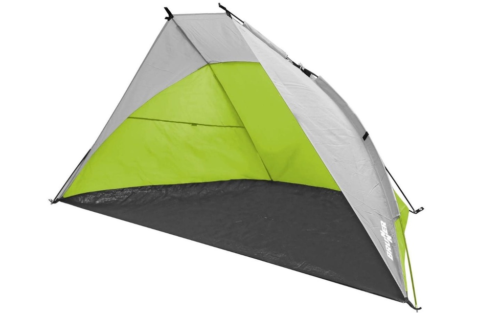 Conchiglia parasole Tonga