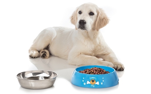 [PX11074] Ciotola per cani Hungry