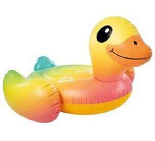 [PX11140] CAVALCABILE PAPERA 147 57556